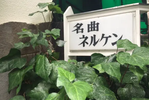 ネルケン