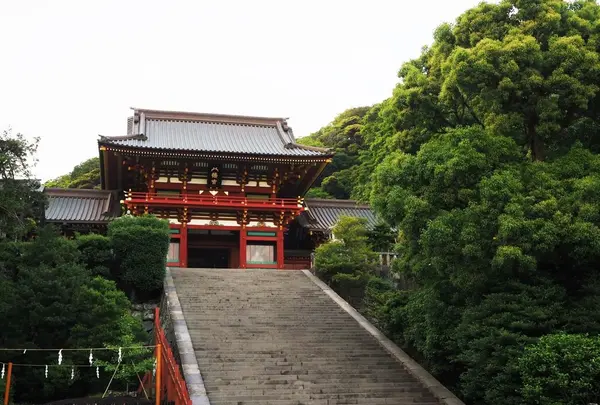 鶴岡八幡宮の写真・動画_image_186234
