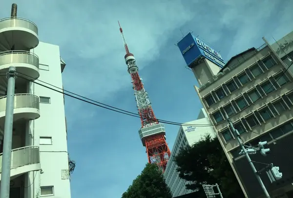 東京タワーの写真・動画_image_186732