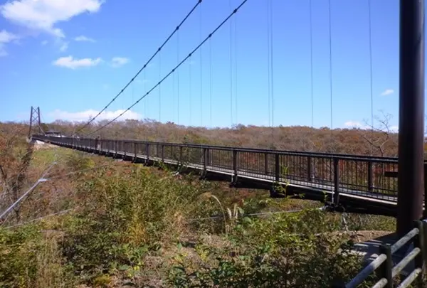 つつじ吊橋