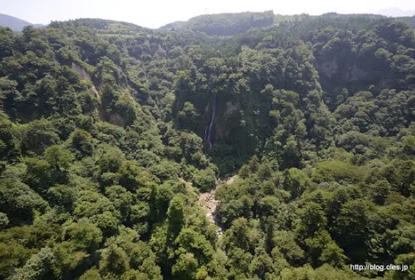九重“夢”大吊橋