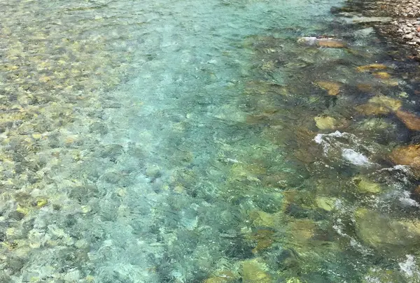 上高地梓川の清流の写真・動画_image_187486