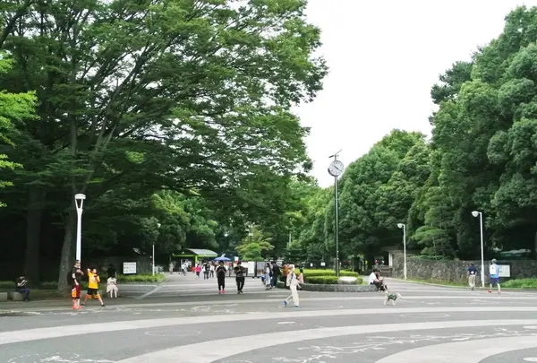 代々木公園