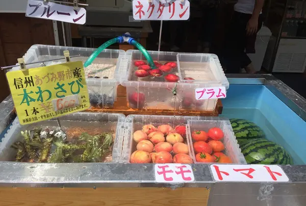 道の駅 風穴の里