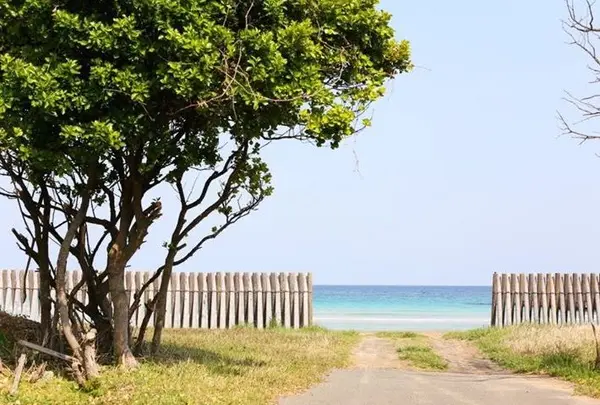 茂木浜海水浴場