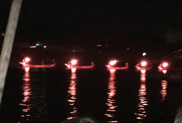 長良川の鵜飼