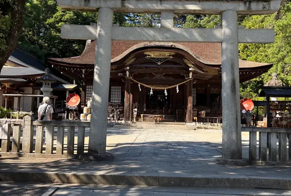 武田神社の写真・動画_image_1887463