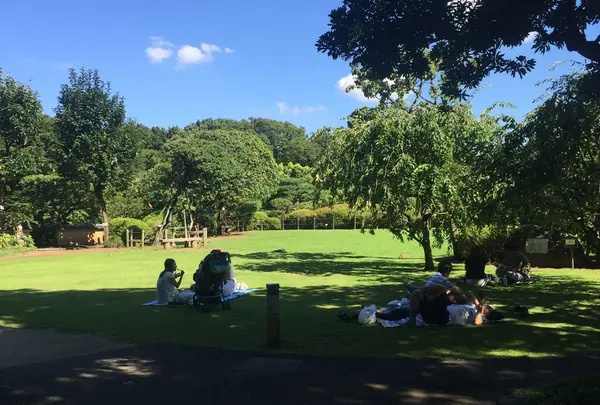 等々力渓谷公園
