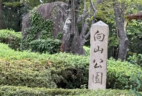 向山公園