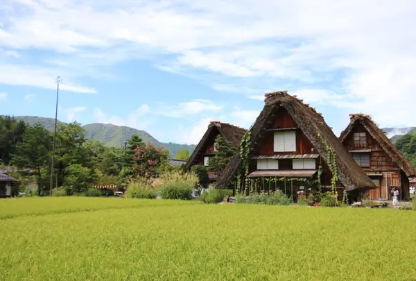 白川郷
