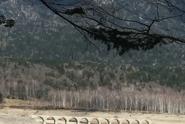 タウシュベツ川橋梁の写真・動画_image_190496