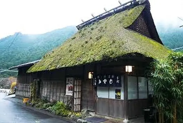 手打ちそば 玉川屋の写真・動画_image_190566