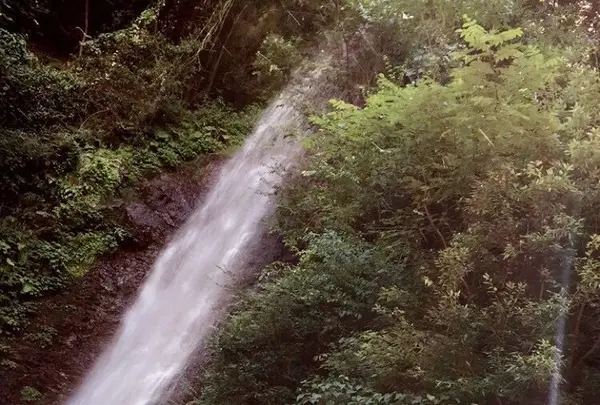 養老の滝