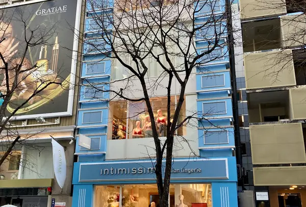 INTIMISSIMI GINZA NAMIKI DORI