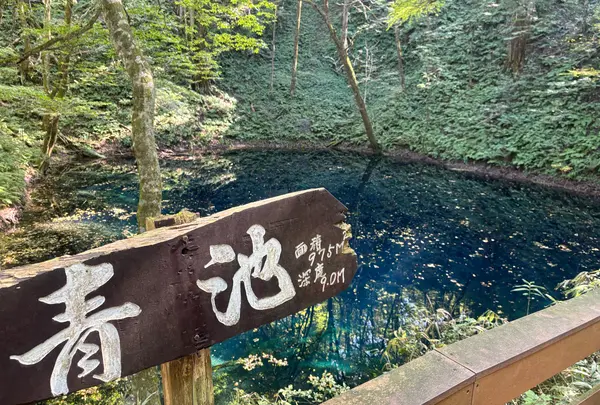 青池