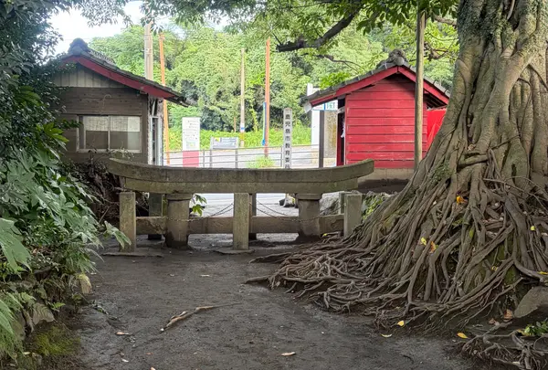 黒神埋没鳥居の写真・動画_image_1908228