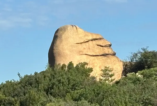 王子が岳の写真・動画_image_1909010