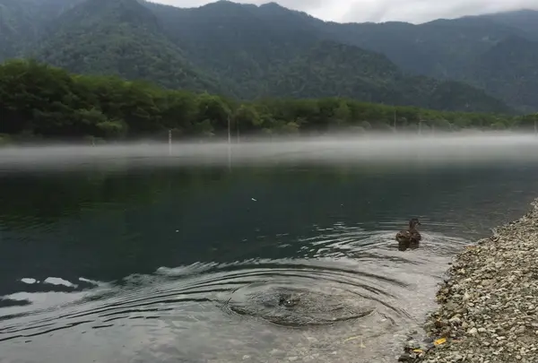 上高地の写真・動画_image_191028