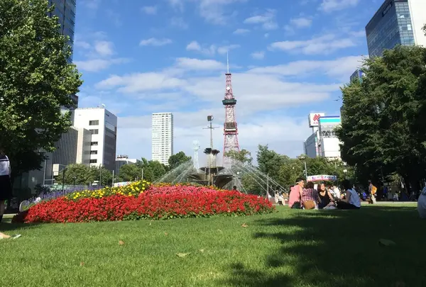 大通公園の写真・動画_image_191457