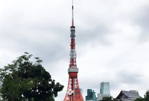 東京タワーの写真・動画_image_191643