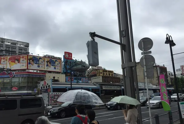 東京都中央卸売市場築地市場の写真・動画_image_191644