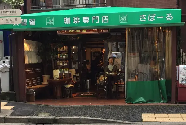 茶望留