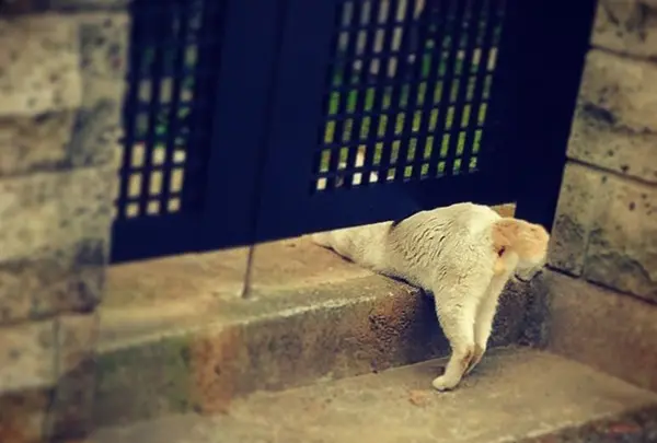 千石