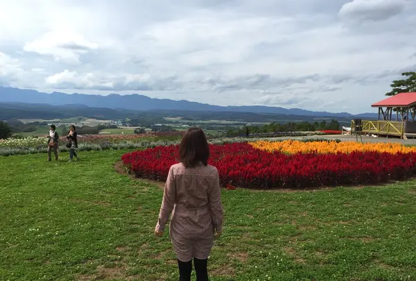 麓郷展望台