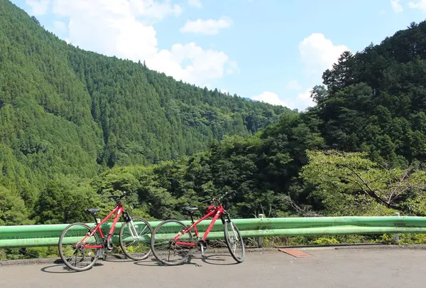TREKKLING(トレックリング)レンタサイクル