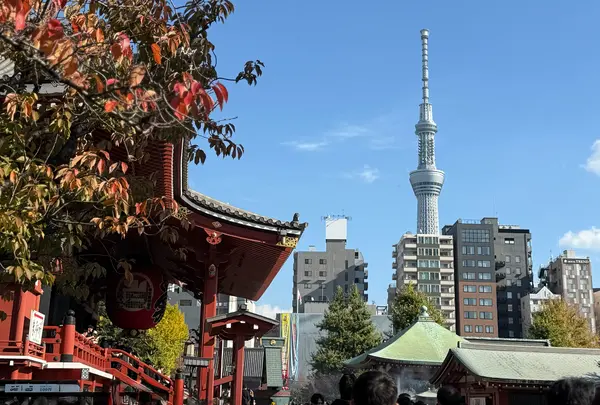 浅草寺の写真・動画_image_1928044