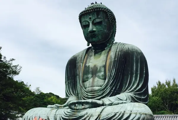 鎌倉大仏（高徳院）の写真・動画_image_193196