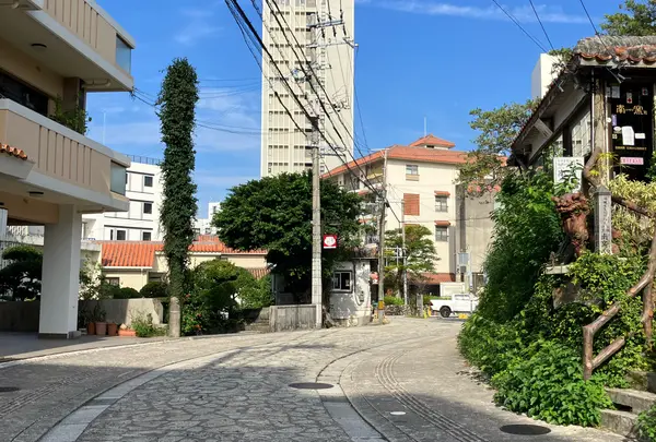 やむちん通りの写真・動画_image_1931972