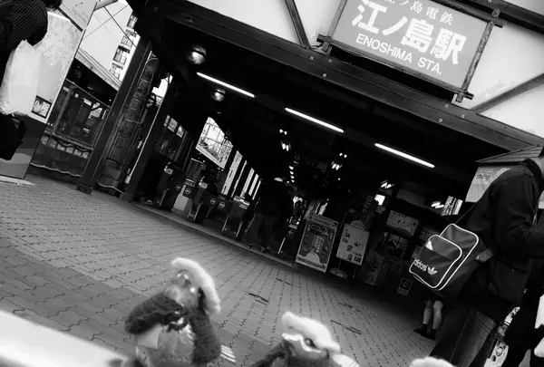 江の島の写真・動画_image_193209