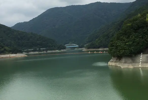丹沢湖の写真・動画_image_193725