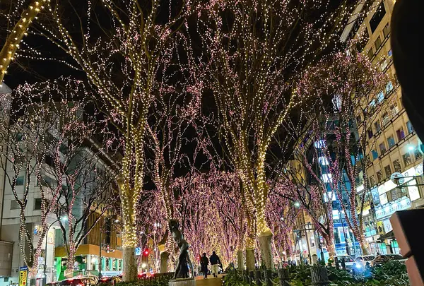 SENDAI光のページェント