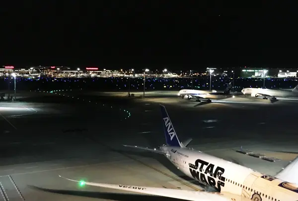 羽田空港 国際線旅客ターミナルの写真・動画_image_194165