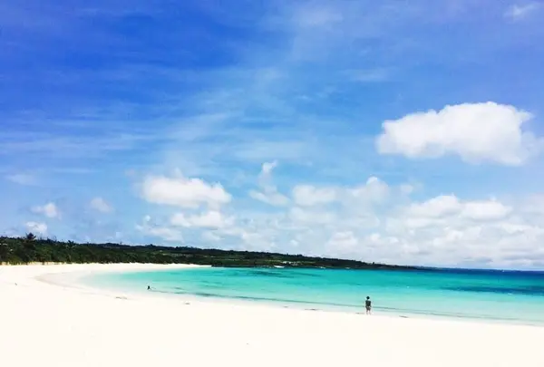 渡口の浜の写真・動画_image_194245