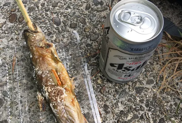 田沢湖遊泳場の写真・動画_image_194467