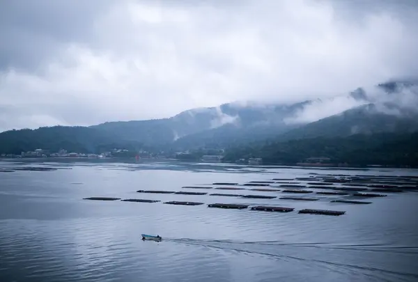 宮島