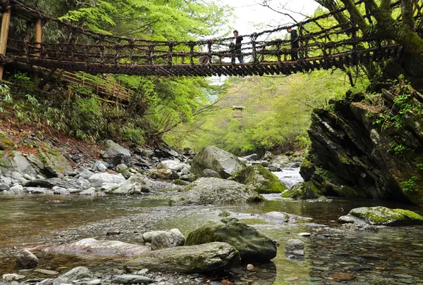 祖谷のかずら橋