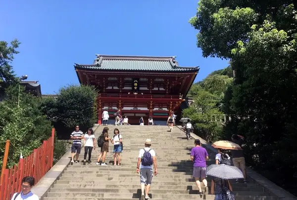 鶴岡八幡宮の写真・動画_image_195525