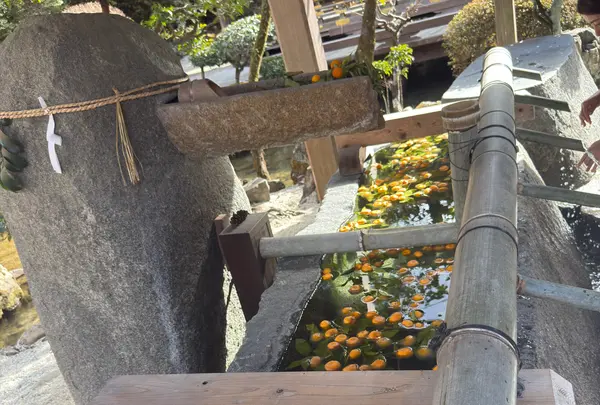 手水舎(上賀茂神社)