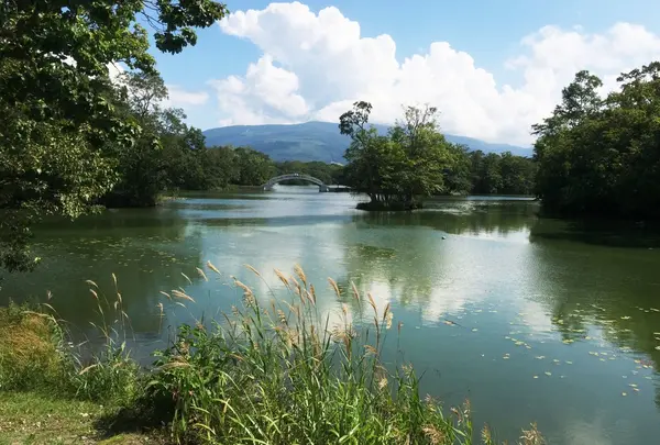 大沼国定公園の写真・動画_image_196127