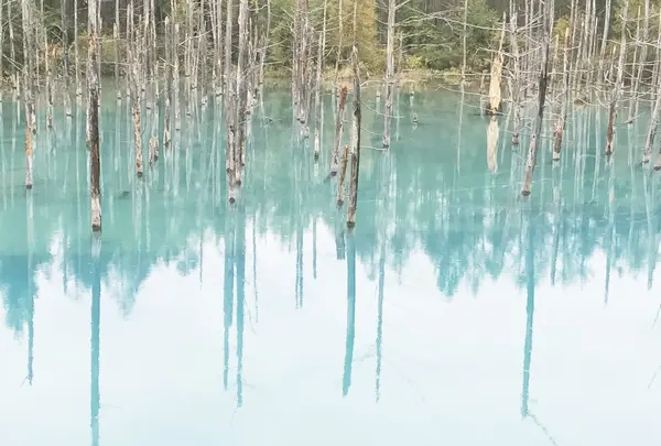 青い池