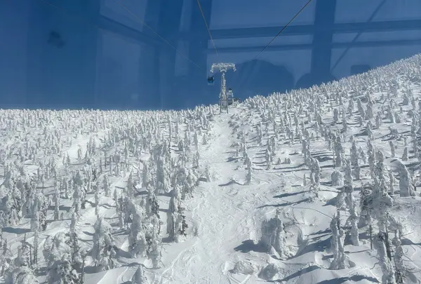 蔵王の樹氷の写真・動画_image_1968910