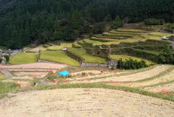 ＜地域創生＞空き家の有効活用！うきは市