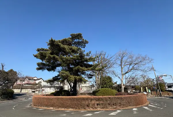 桜ヶ丘ロータリー