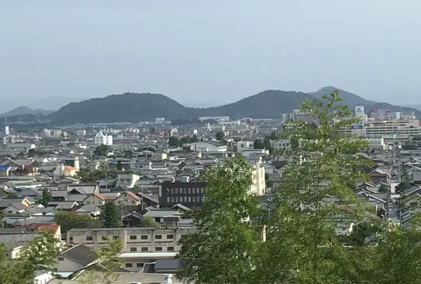 公園から見る景色