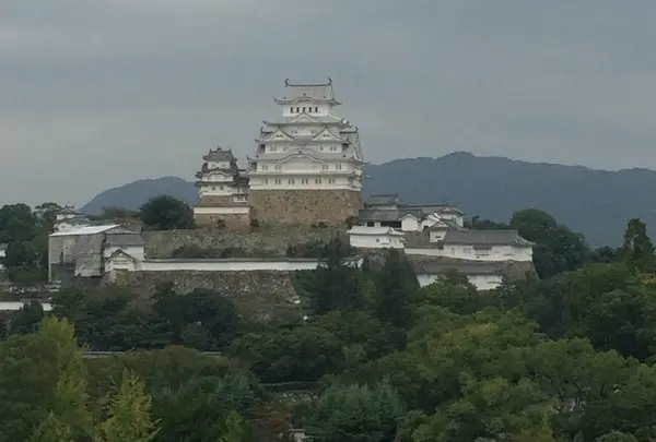 イーグレひめじの写真・動画_image_197774
