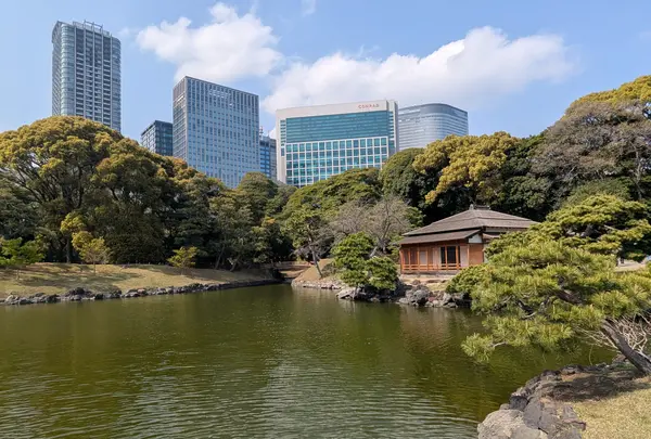 浜離宮恩賜庭園の写真・動画_image_1982937